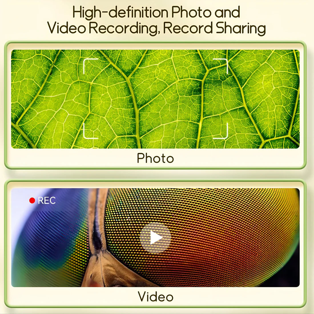 Digital Zoom Microscope for Kids